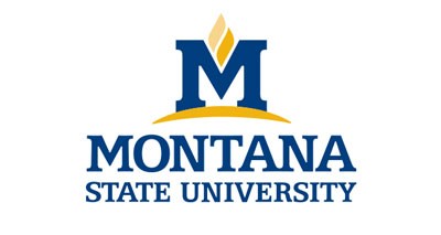 MSU logo