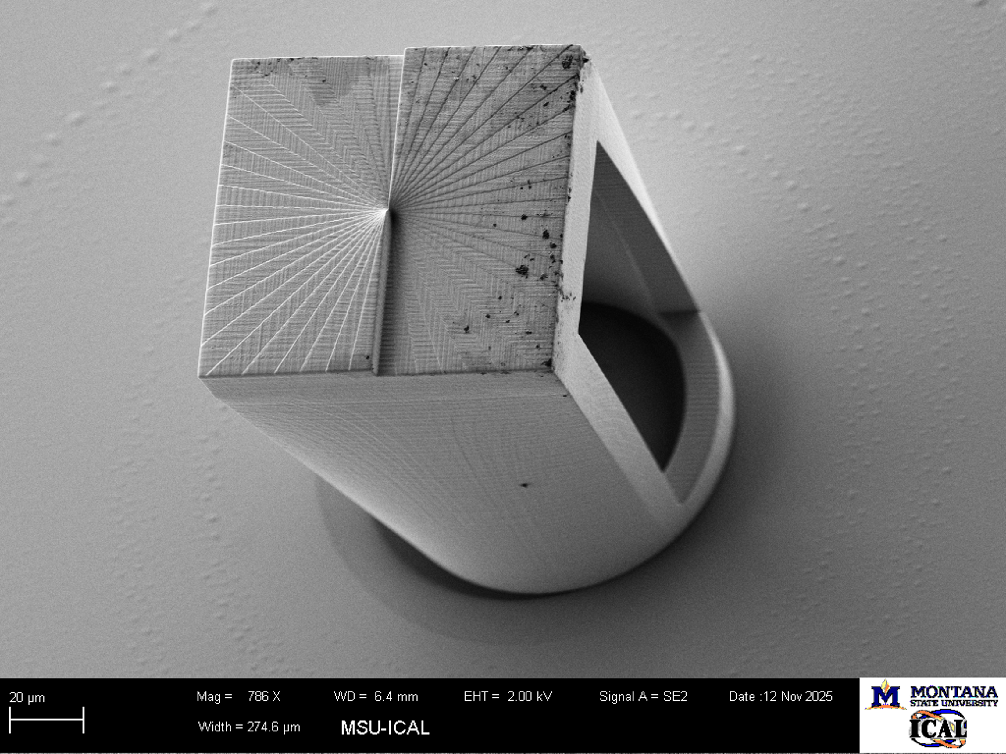 Scanning electron microscope image of a structure printed on the tip of a fiber