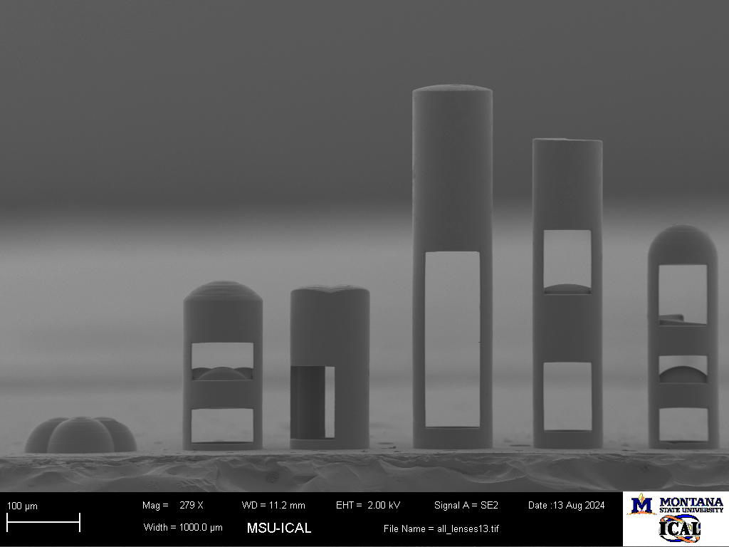 Scanning electron microscope image of multiple printed lenses, view edge on