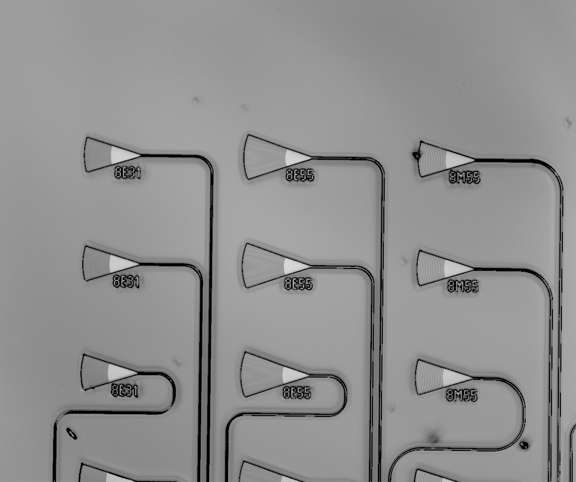 Microscope image of surface grating couplers
