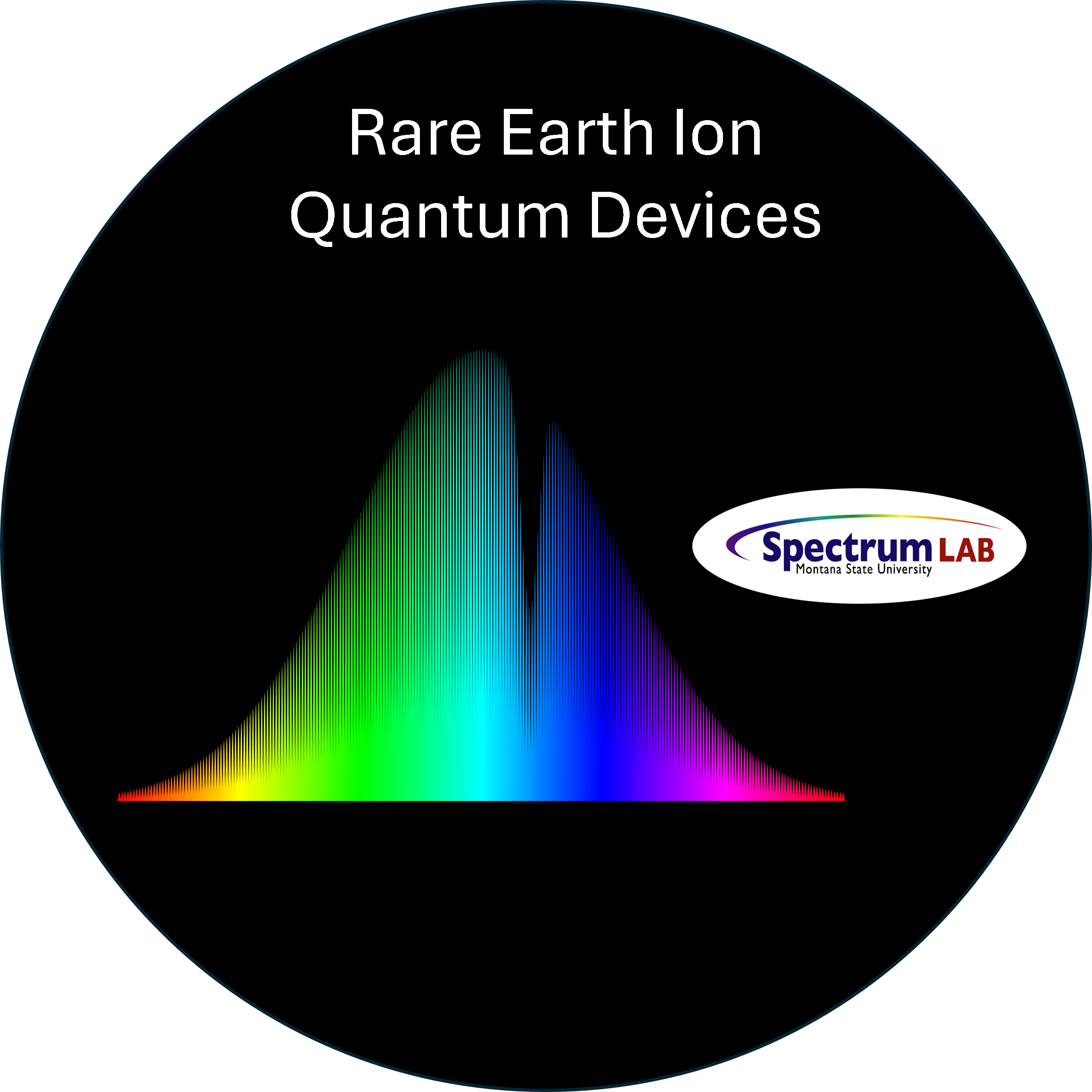 REI quantum devices subgroup logo